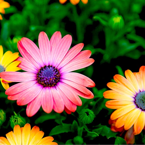 Anything & Everything :) - Picture 1 of 1